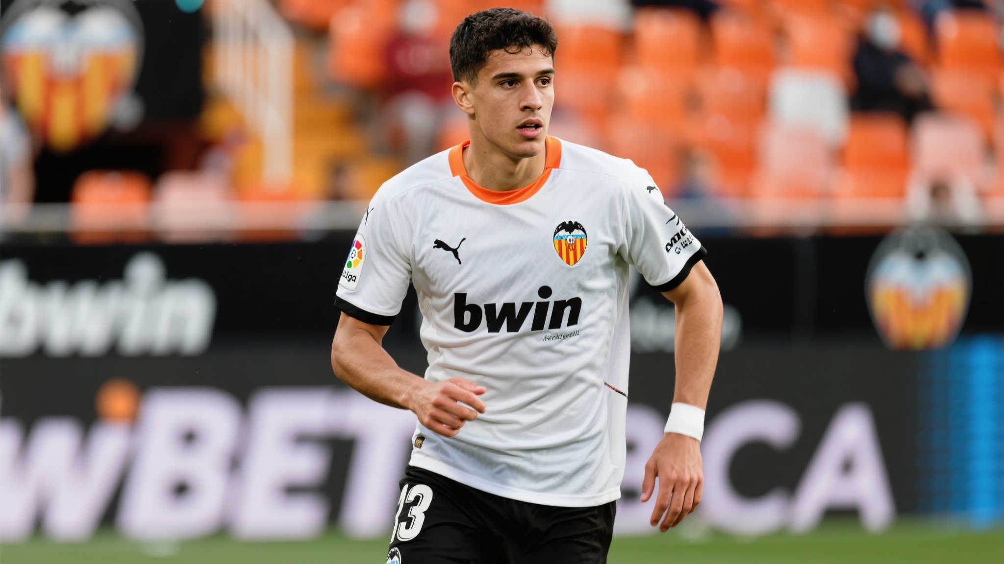 新生黑马 新生黑马